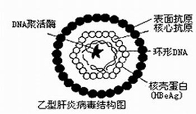 &#24320;&#20113;&#40;&#20013;&#22269;&#41;&#75;&#97;&#105;&#121;&#117;&#110;